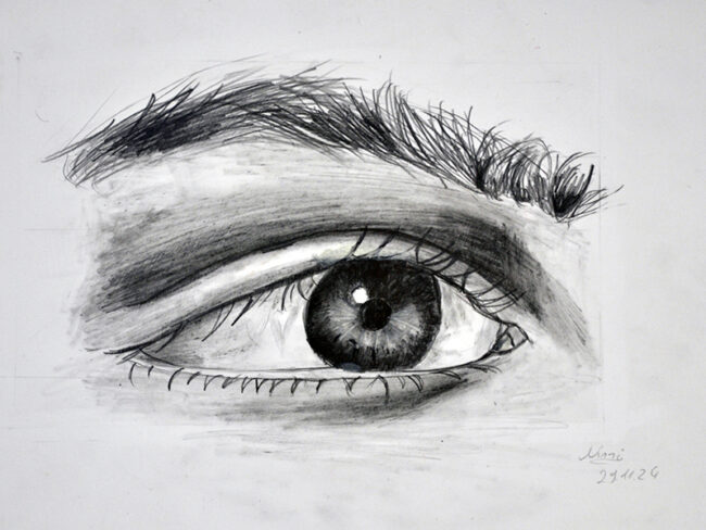 Beispielbild für den Kurs Portraitzeichnen